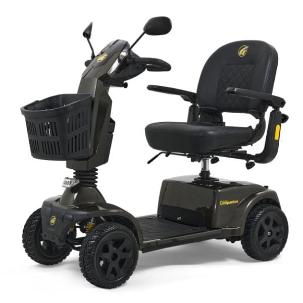 Grey Golden Companion Scooter